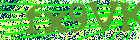 Capcha-Code 